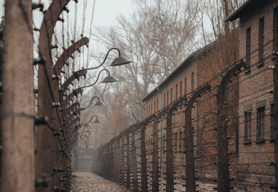 Auschwitz-Birkenau guided tour from Krakow