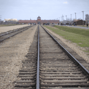 Auschwitz-Birkenau guided tour from Krakow