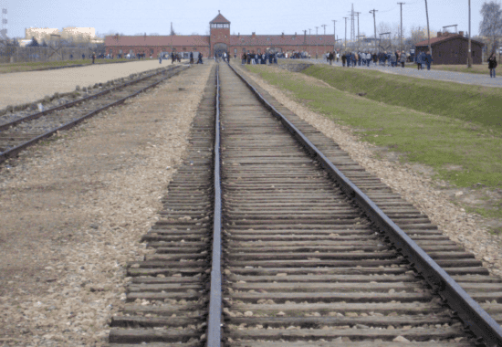 Auschwitz-Birkenau guided tour from Krakow