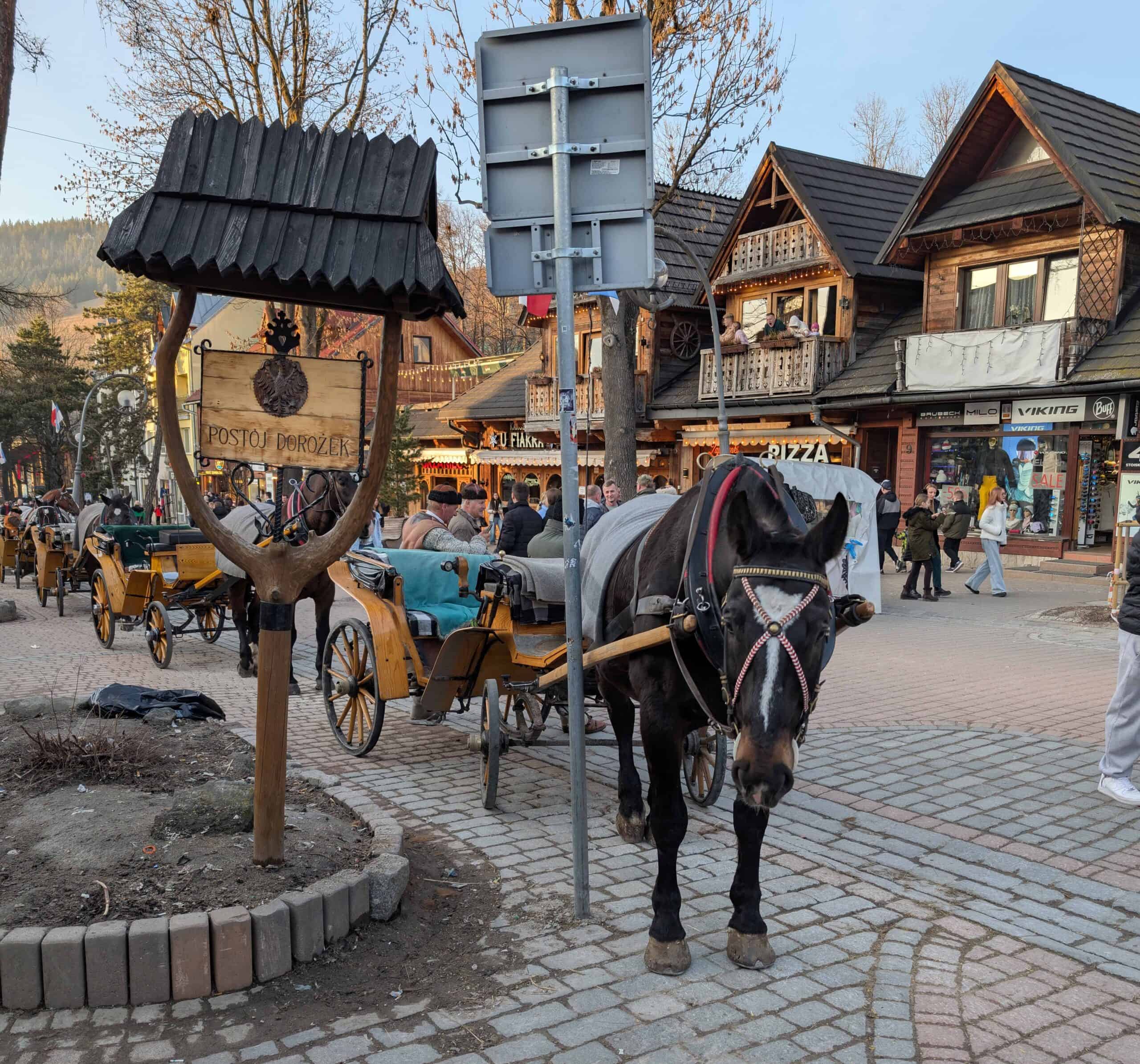 Krupowki promenade, Zakopane day trip